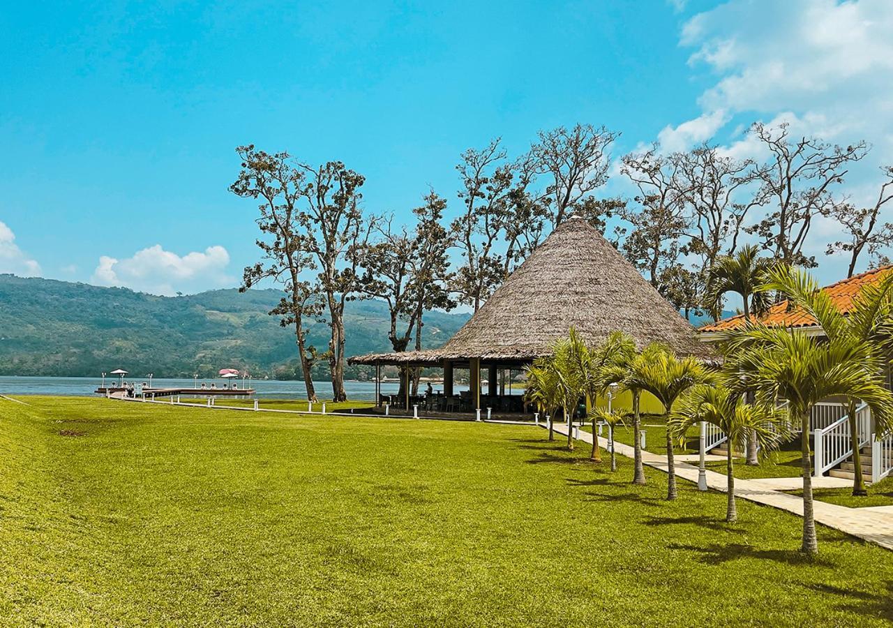 Bella Terra Laguna Azul & Sauce